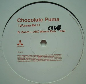 I Wanna Be U (Zoom + DBX Remixes)