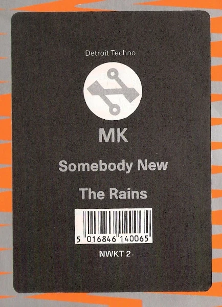 Somebody New / The Rains