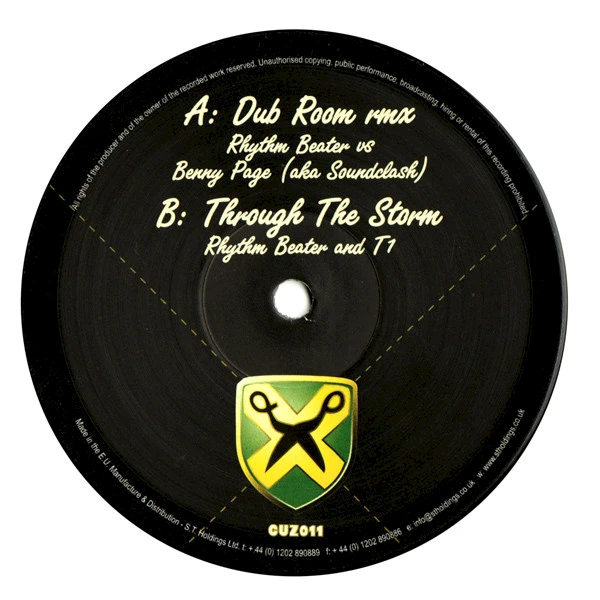 Dub Room Remix / Through The Storm