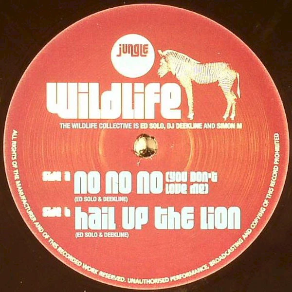 No No No (You Don't Love Me) / Hail Up The Lion
